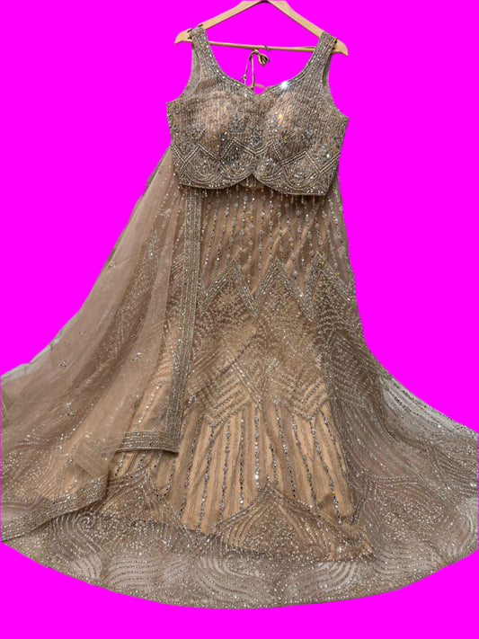 Champagne Glow Lehenga Set with Silver Handwork